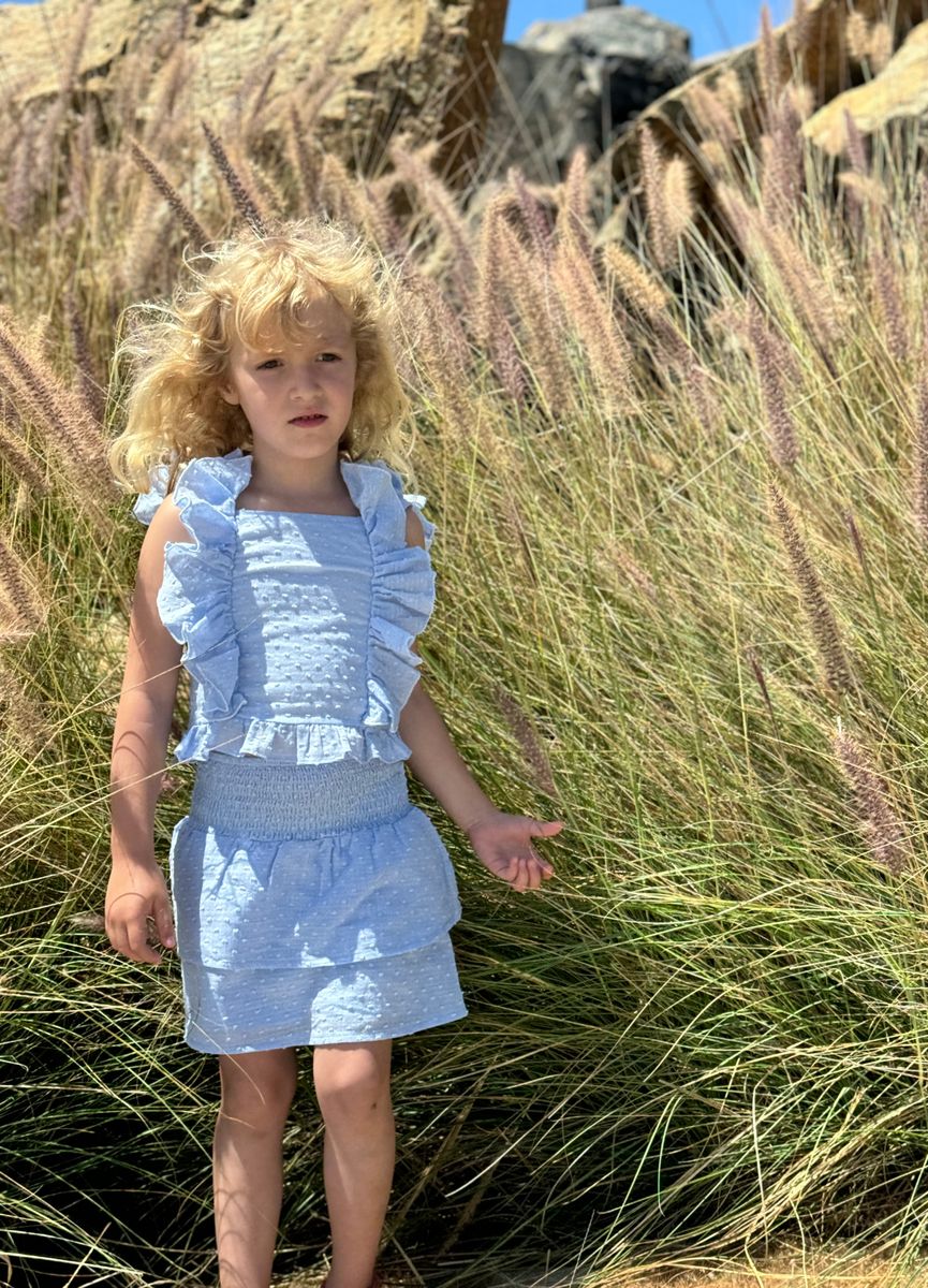 Vignette Darcy Chambray Skort