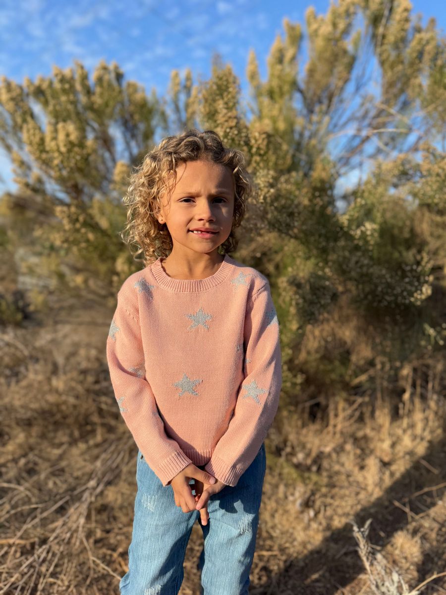 Vignette Robyn Pink Star Sweater