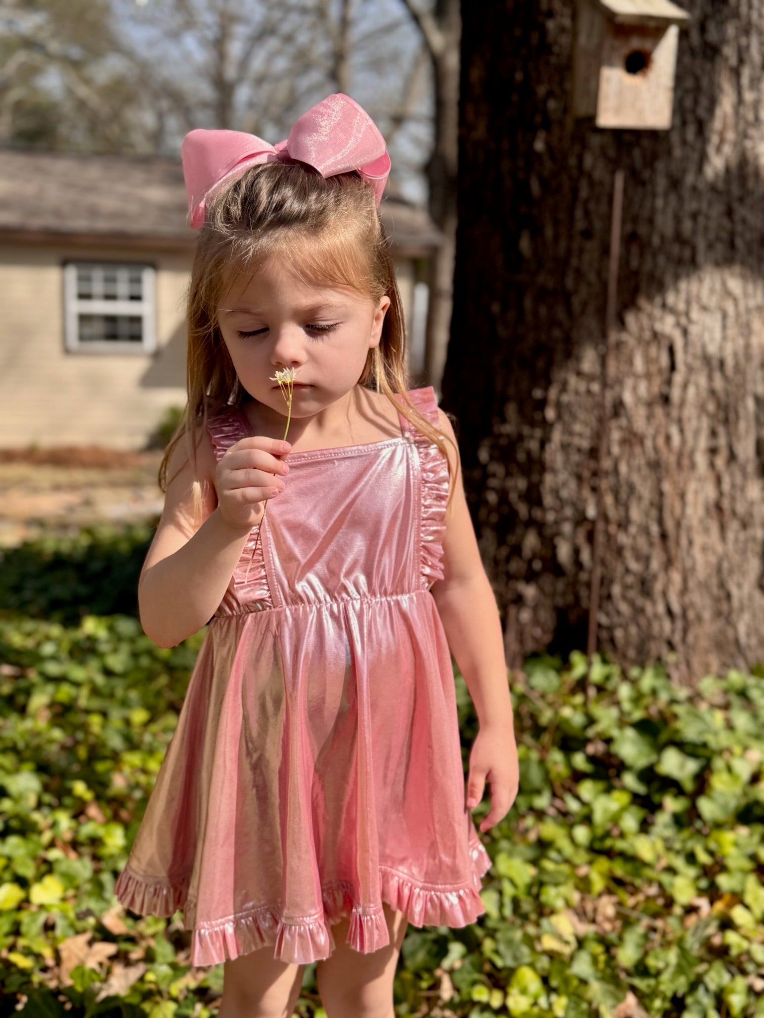 Pink Metallic Ruffle Dress