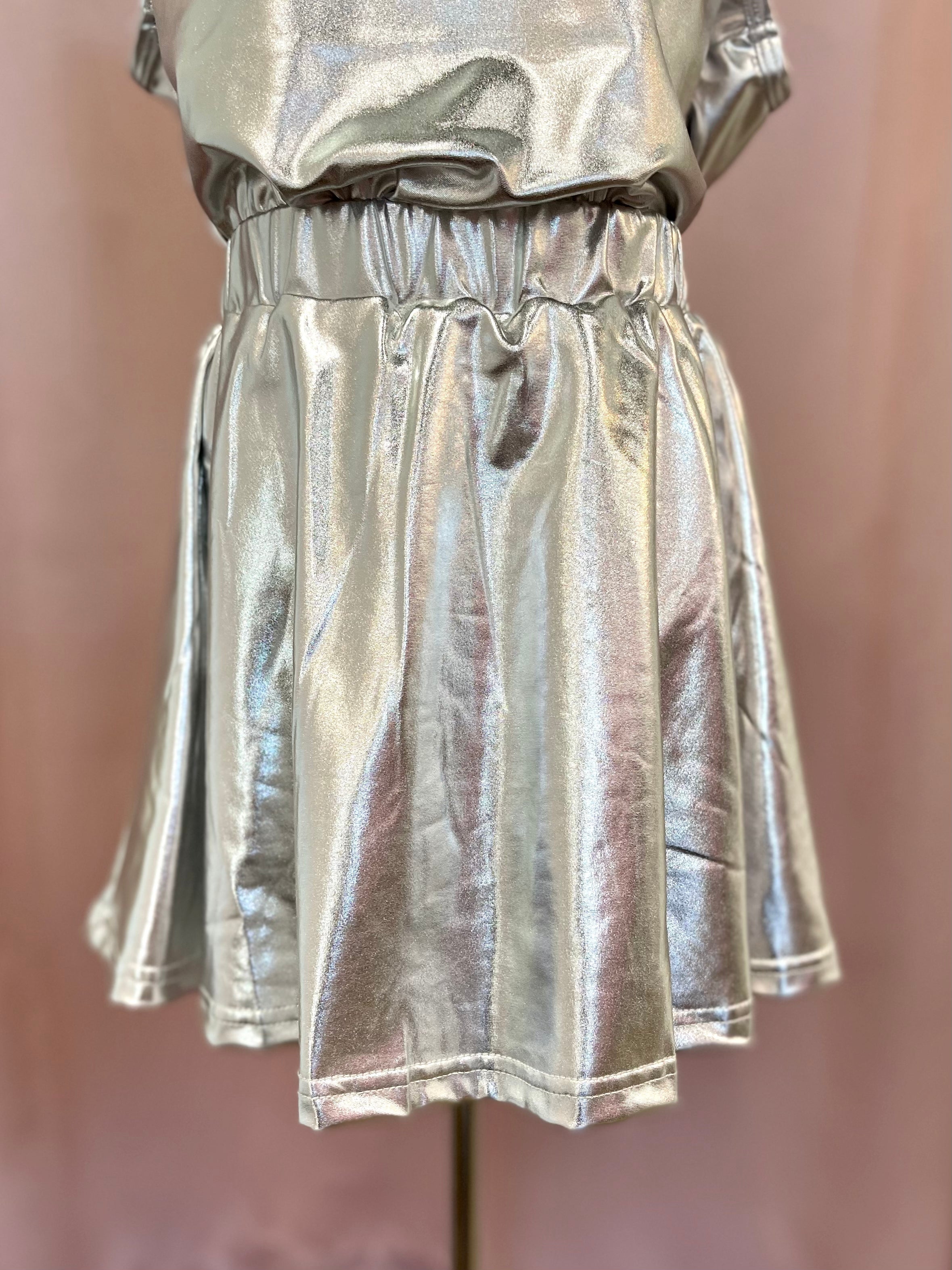 Silver Metallic Skirt