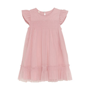 Rose Toddler Mesh Dress
