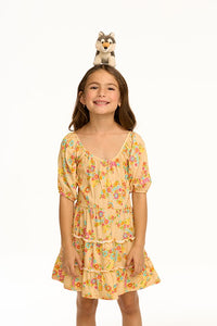 Chaser Salina Summer of Love Dress