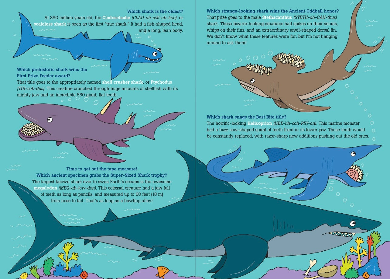 100 Questions About Sharks