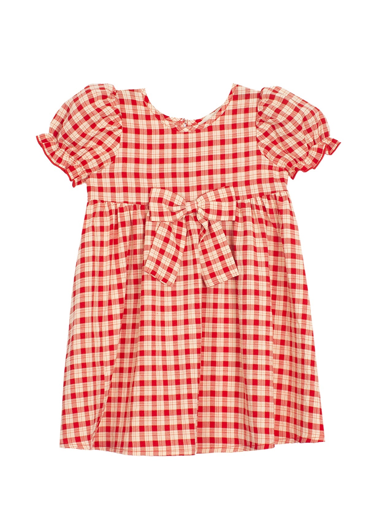 Paisley Plaid Dress